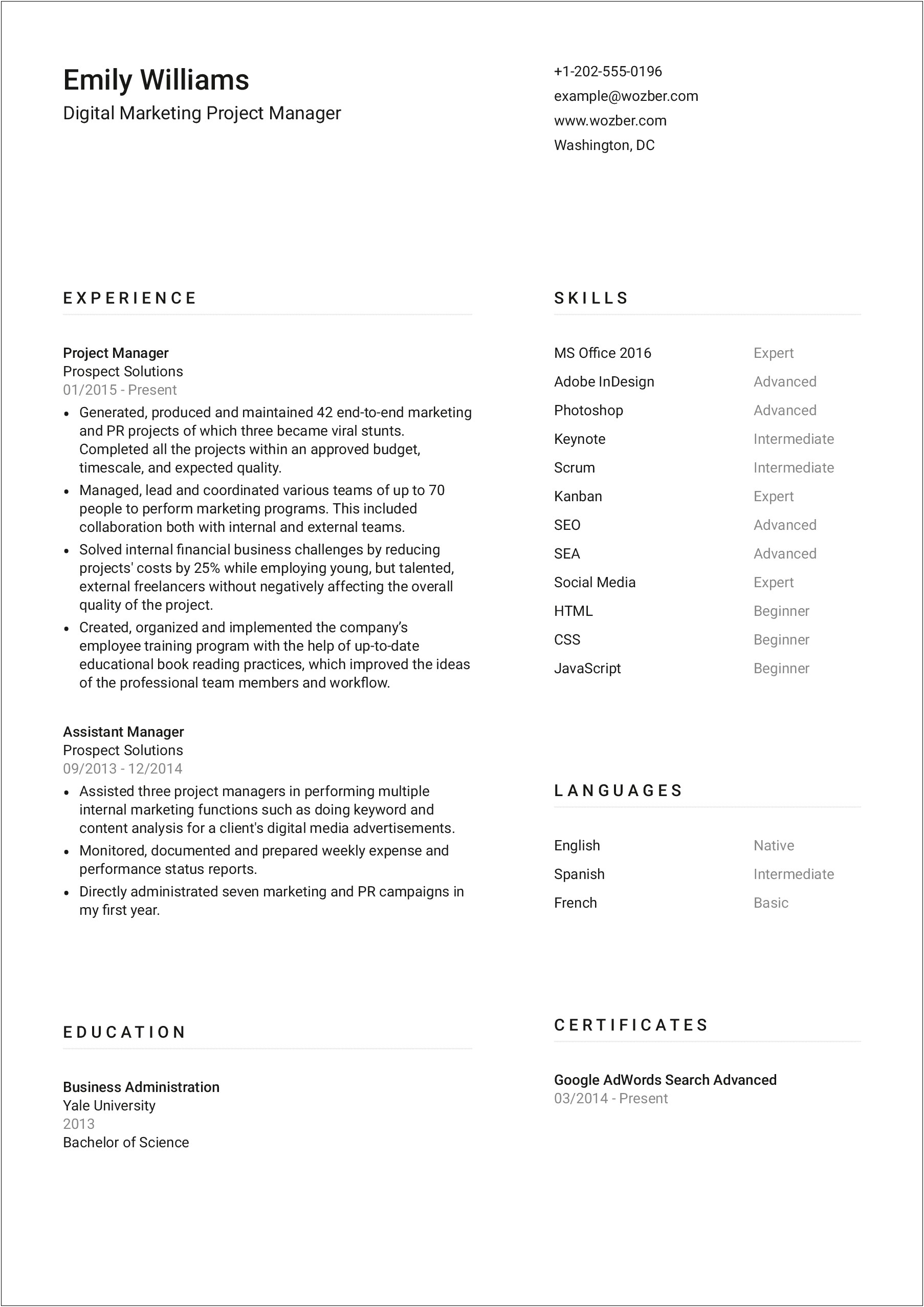 Projects Header In Resume Sample