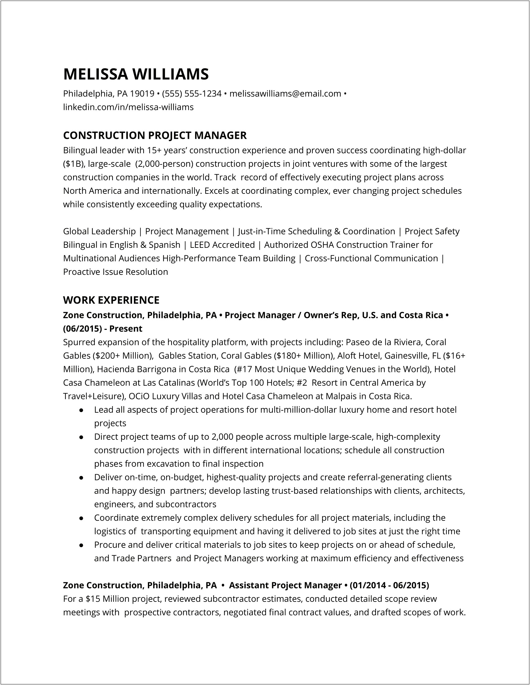 Real Resumes For It Project Manager