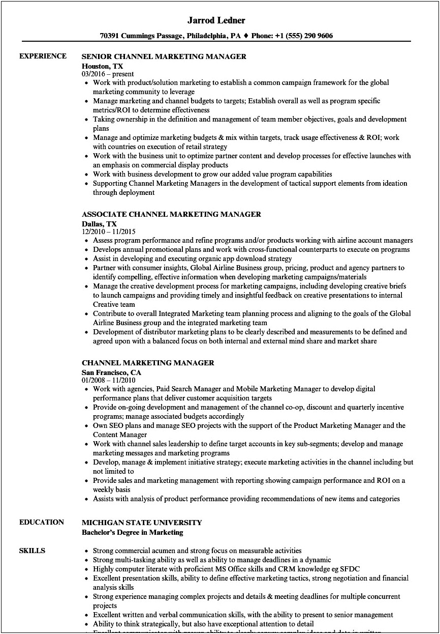 Resume Business Development Channel Manager
