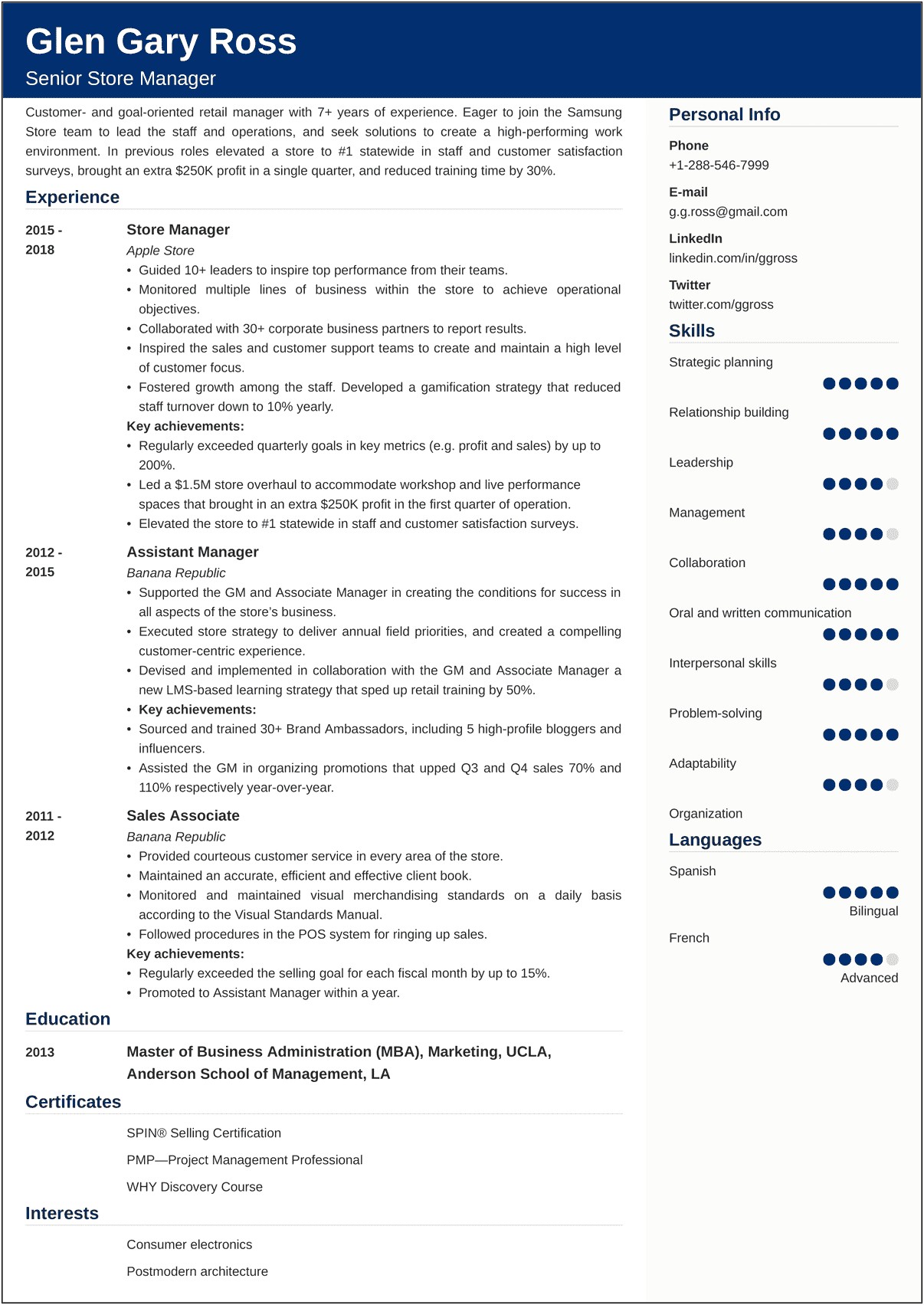 Resume Career Summary Examples Retail