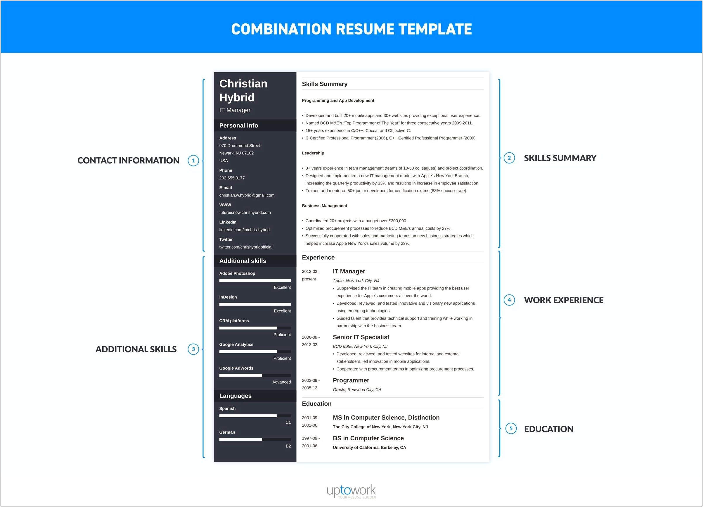 Resume Combining Summary And Skills
