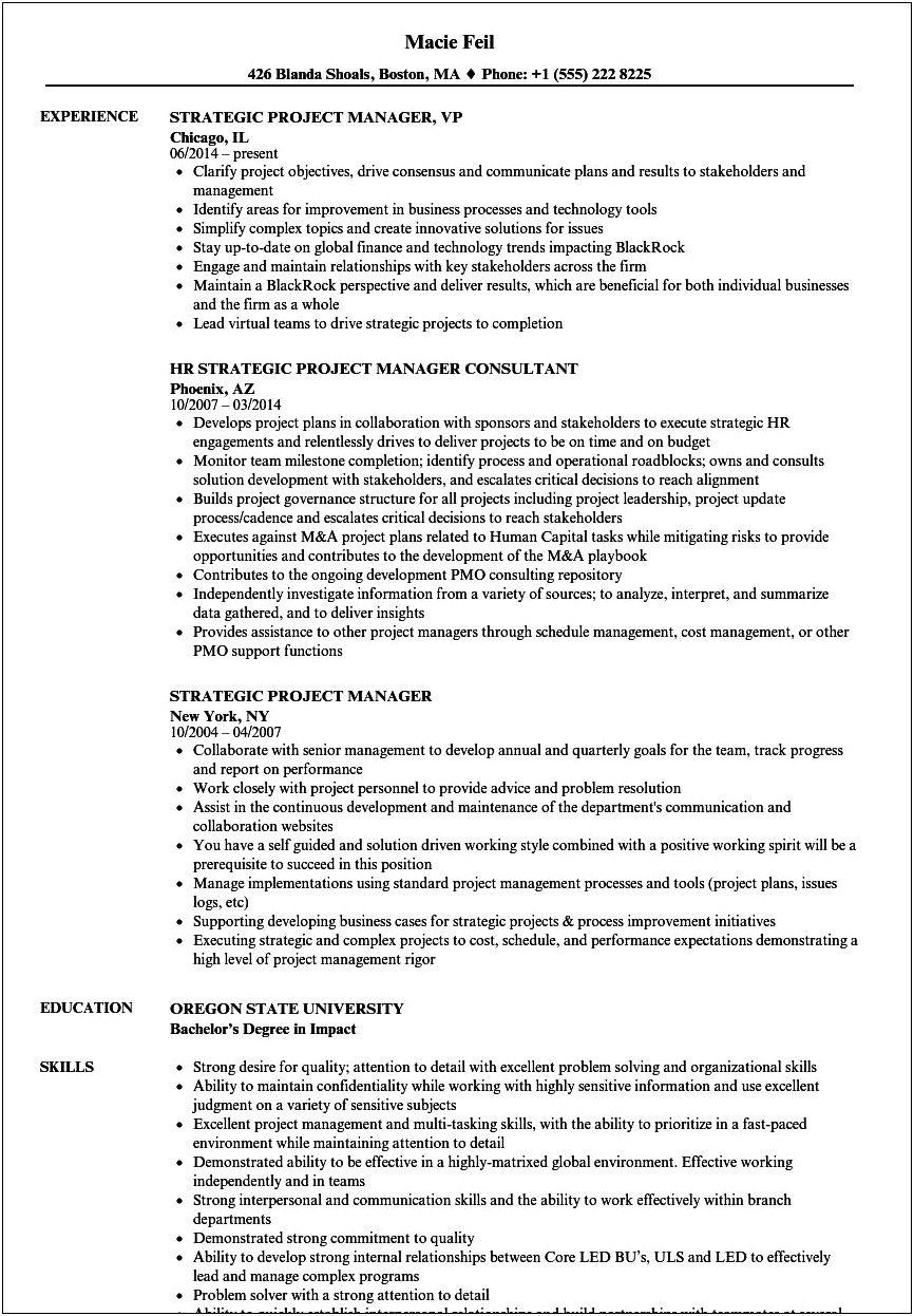 Resume Core Competencies Project Manager