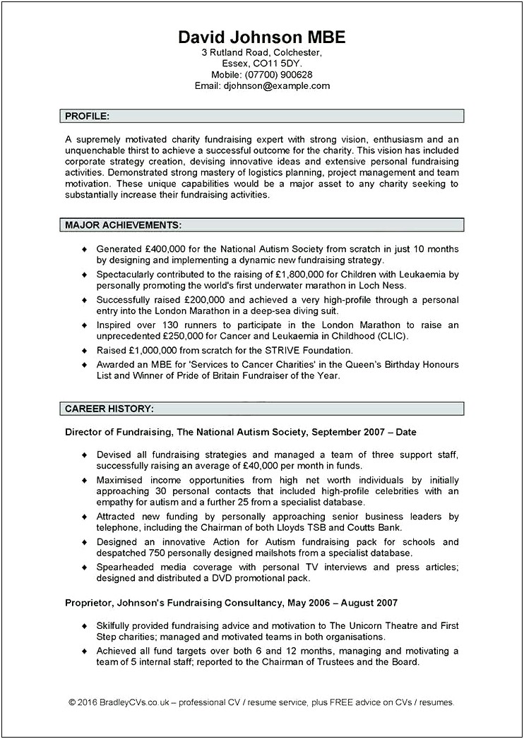 Resume Cv Opening Paragraph Examples