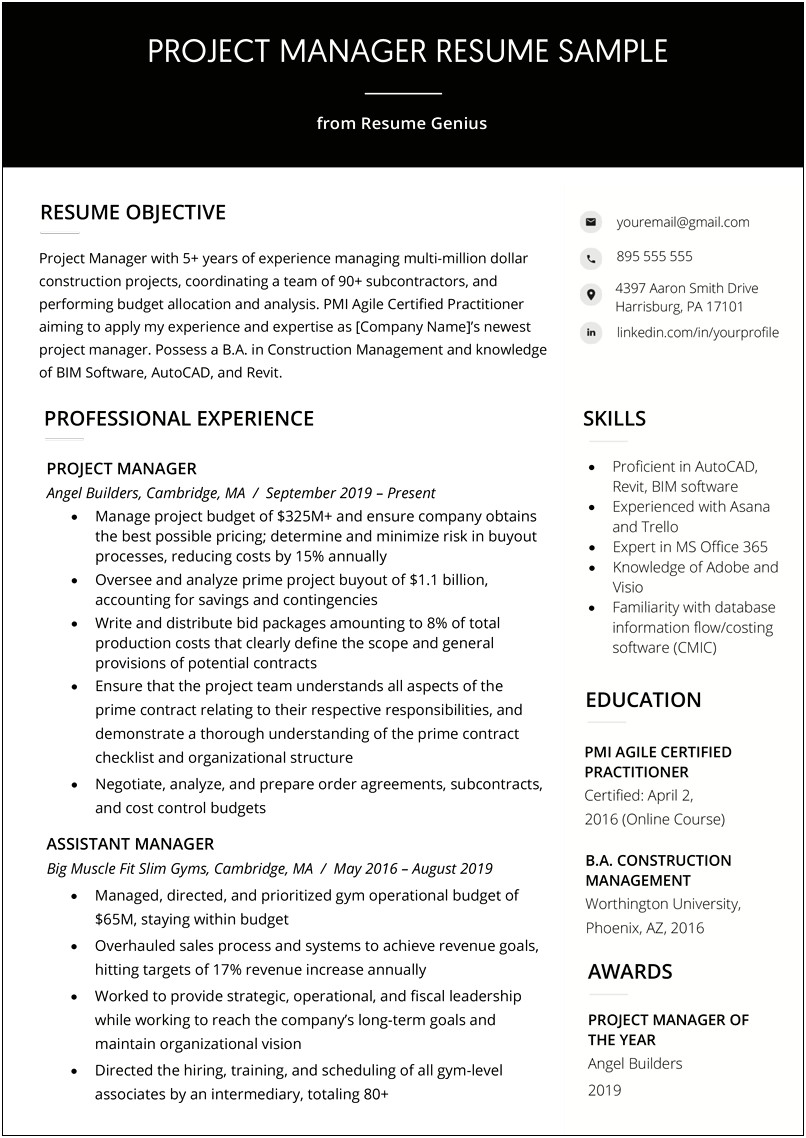 Resume Entry Project Manager Template