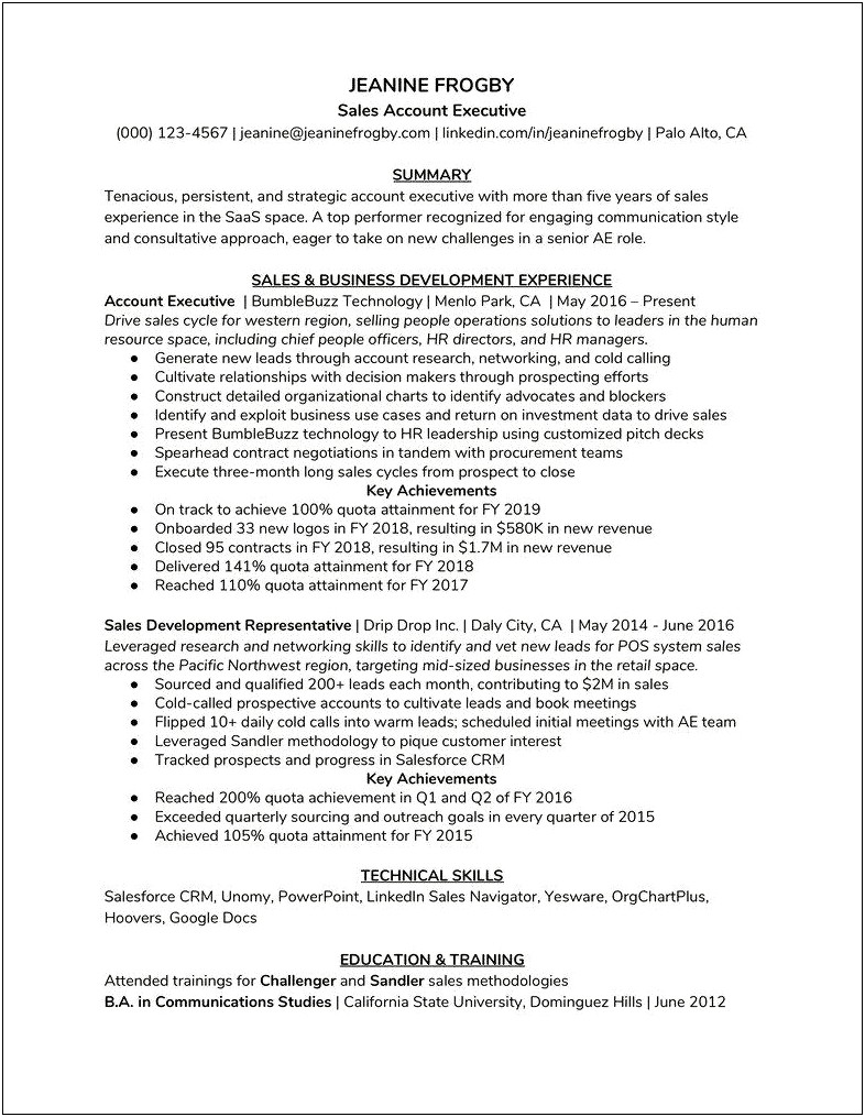 Resume Example For Commissioned Sales Professional