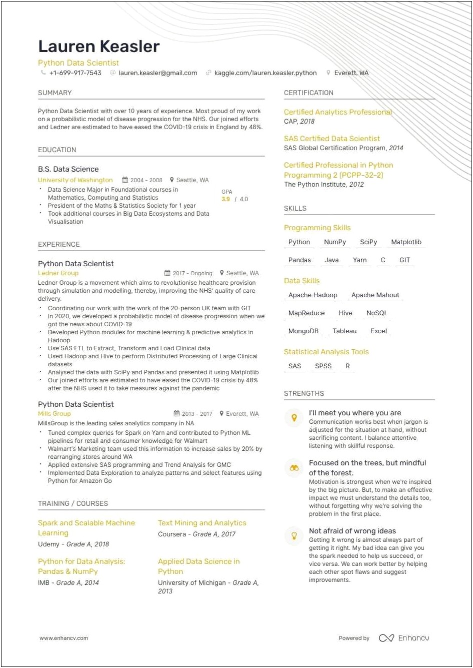 Resume Example For Statistical Programming