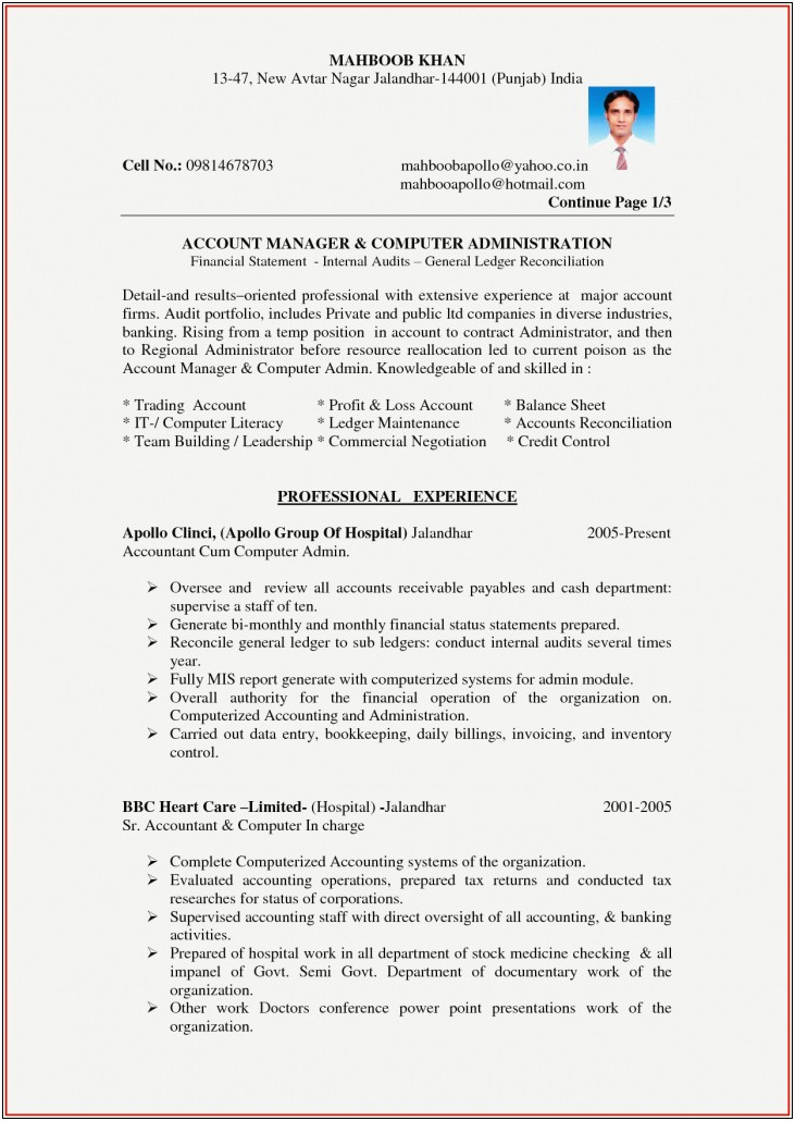 Resume Example For Temp Jobs
