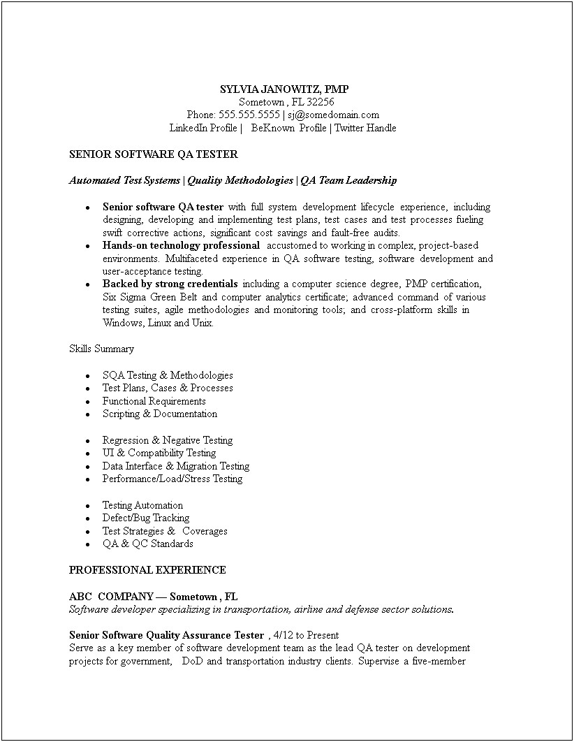 Resume Example Software Team Leader