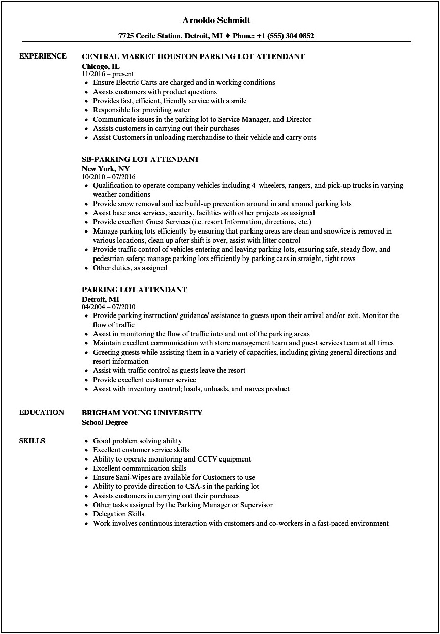 Resume Example With Alot Of Information
