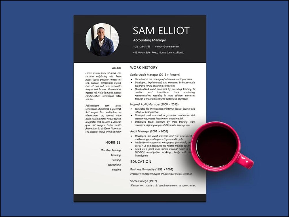 Resume Examples For Audit Manager