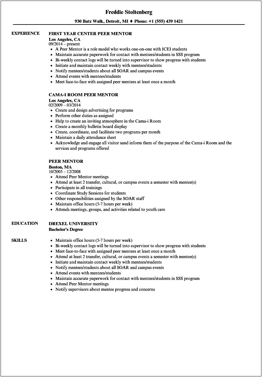 Resume Examples For Mentoring Paperwork