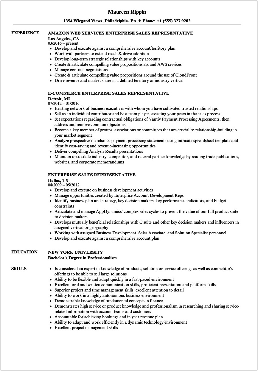 Resume Examples For Problem Solvers From Amazon