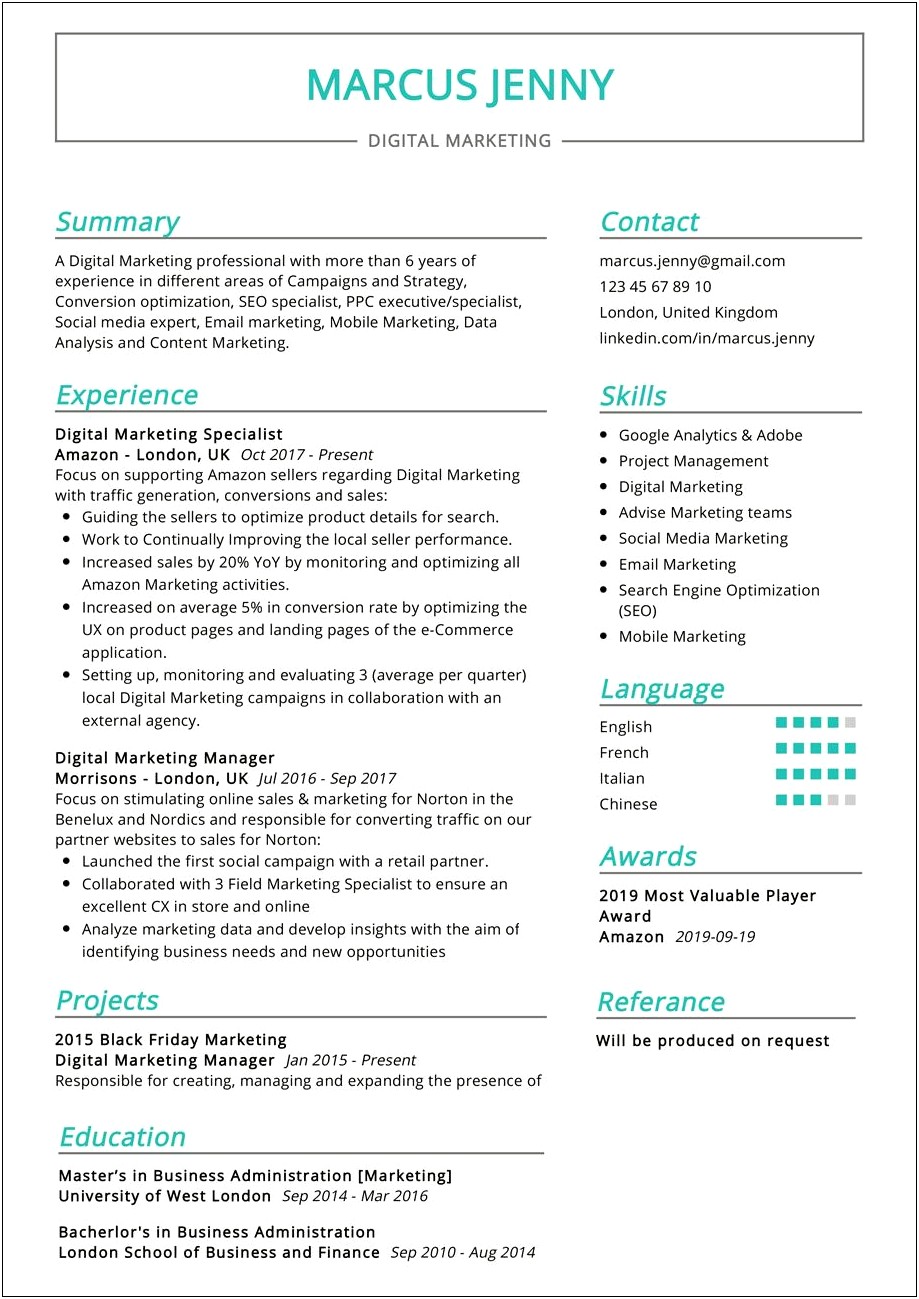 Resume Examples Marketing Manager Position
