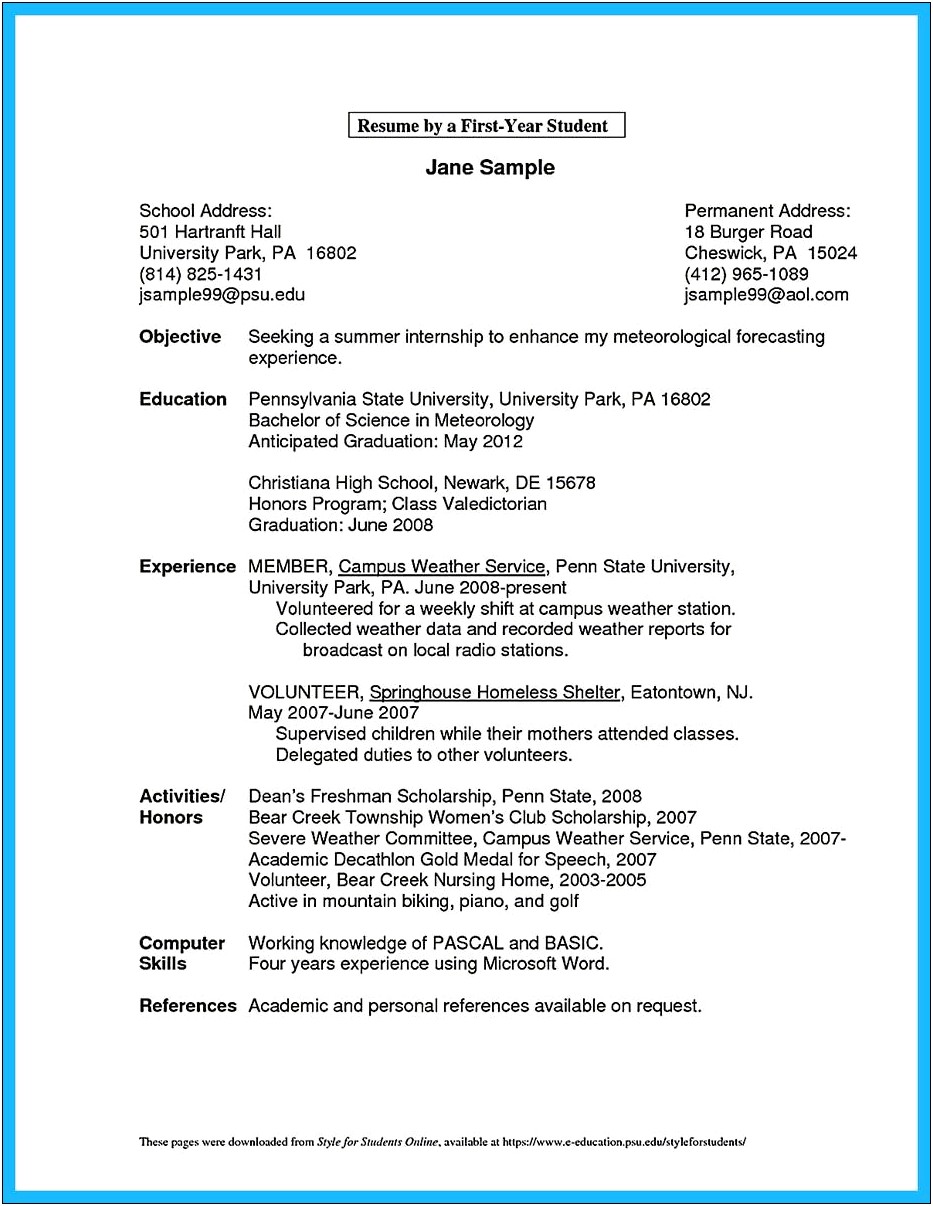 Resume Examples Owner Small Business