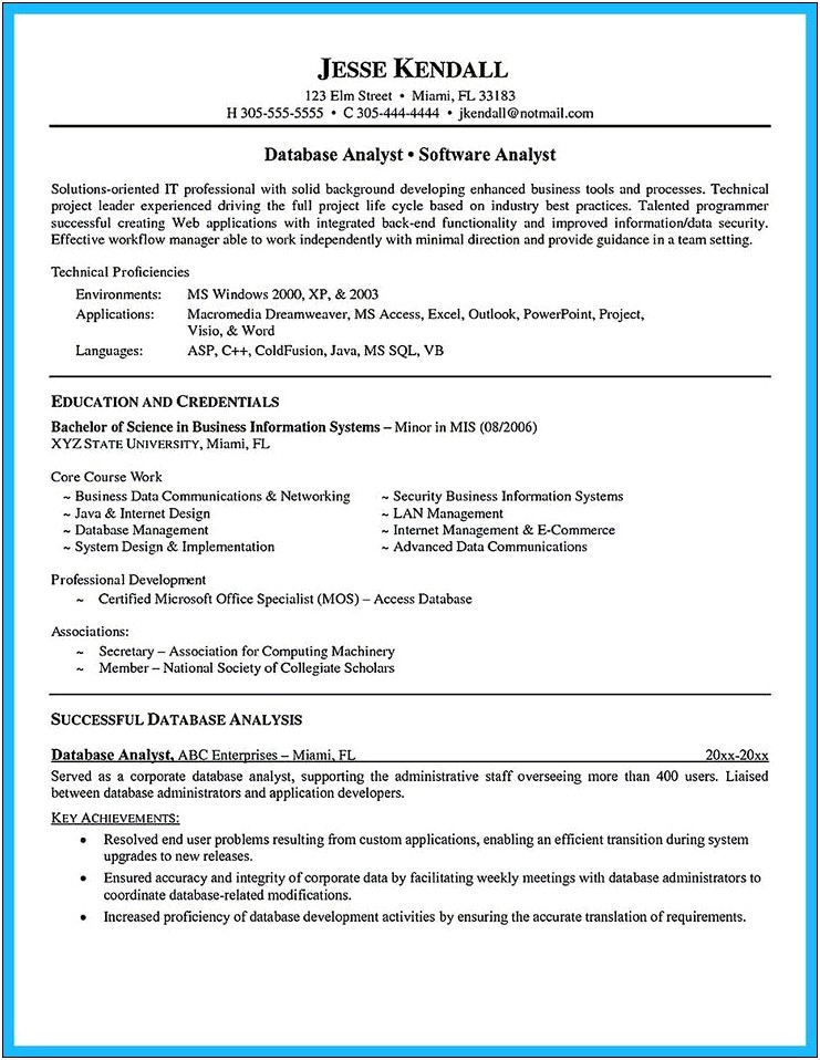 Resume Executive Summary For Business Analyst