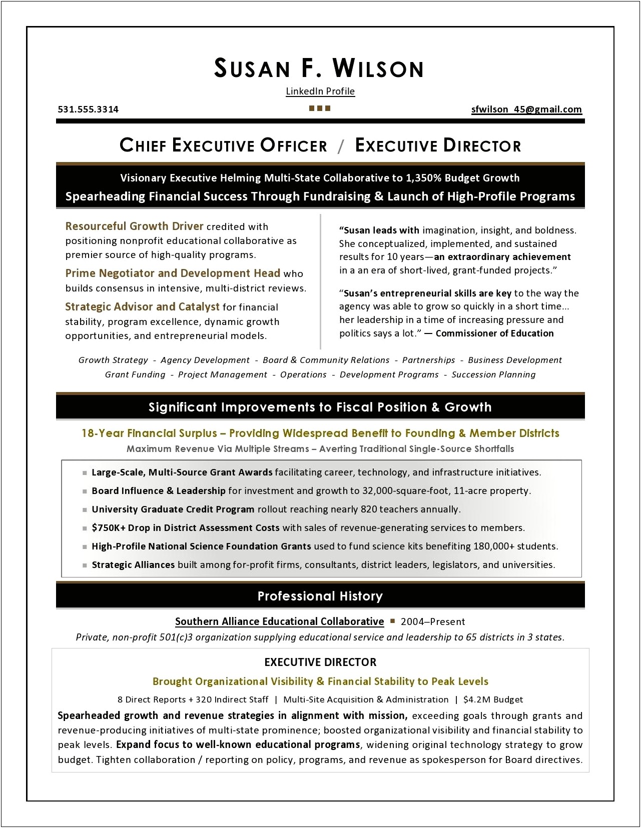Resume For Board Position Sample