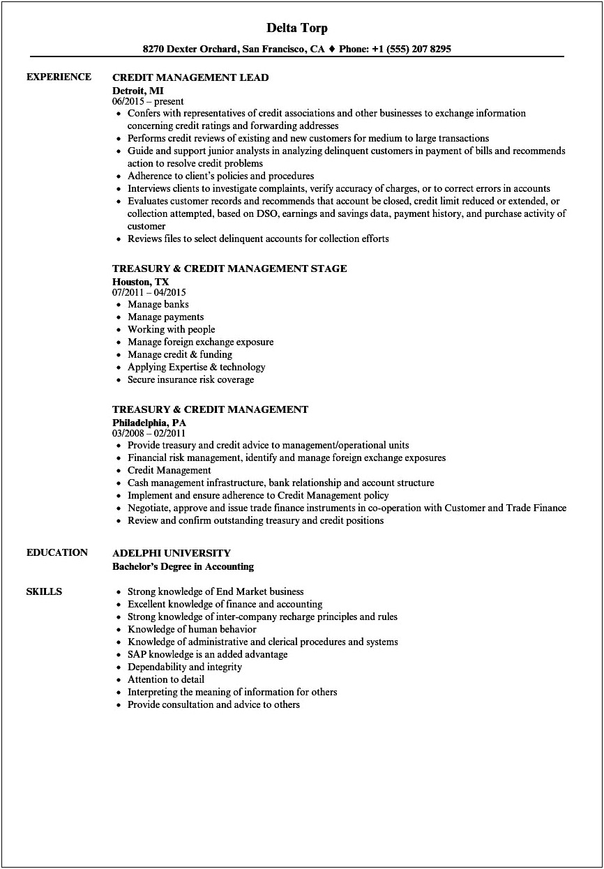 Resume For Credit Project Management
