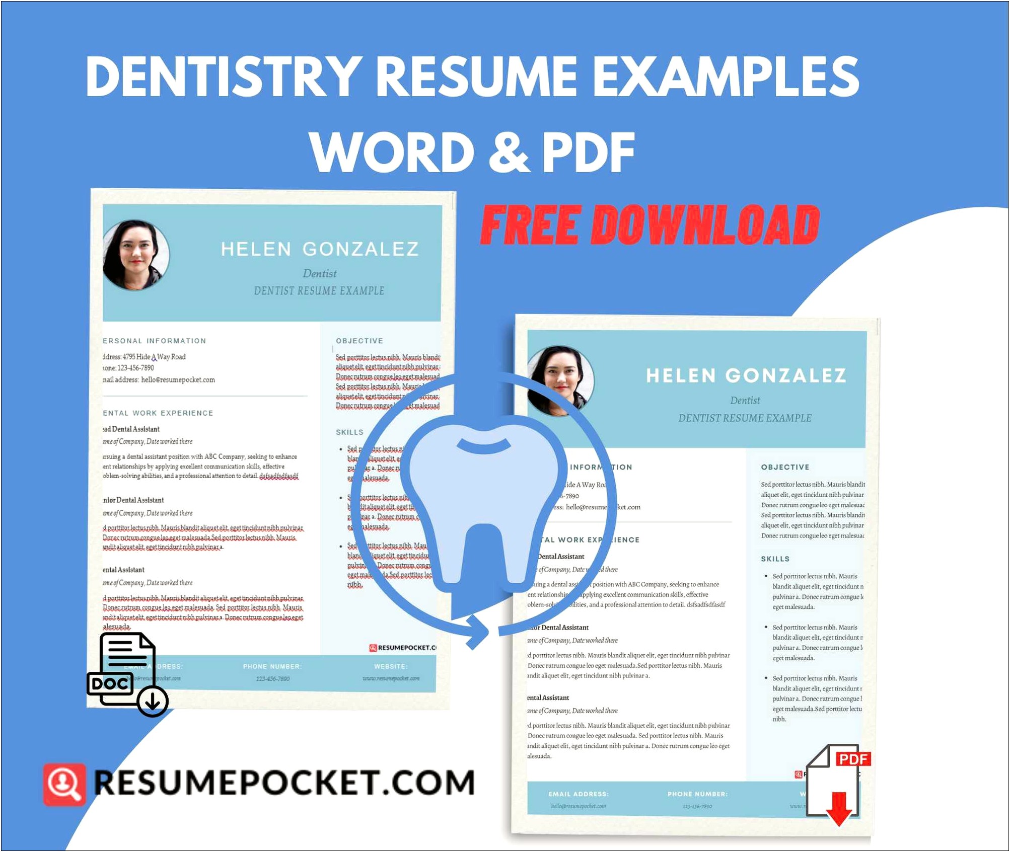 Resume For Dentist Owner Example