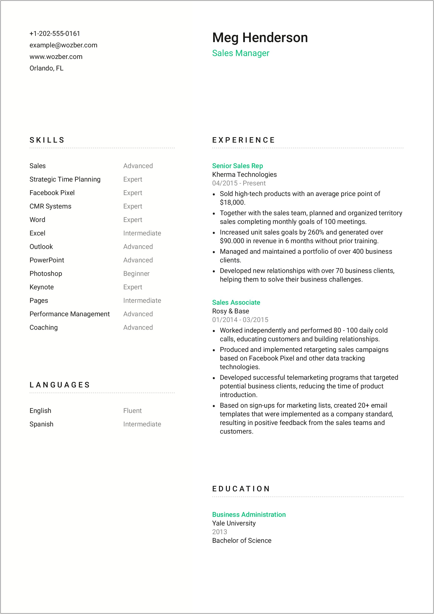 Resume For Experienced Sales Manager