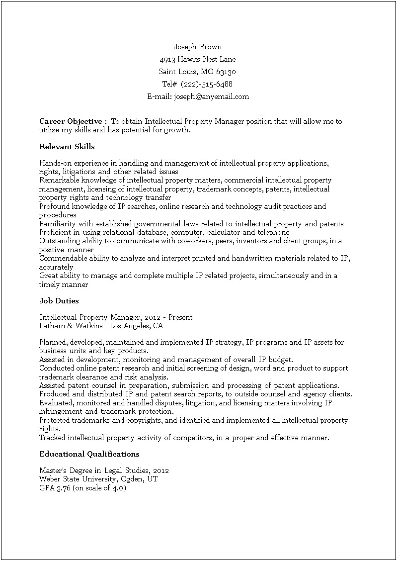 Resume For It Manager Position