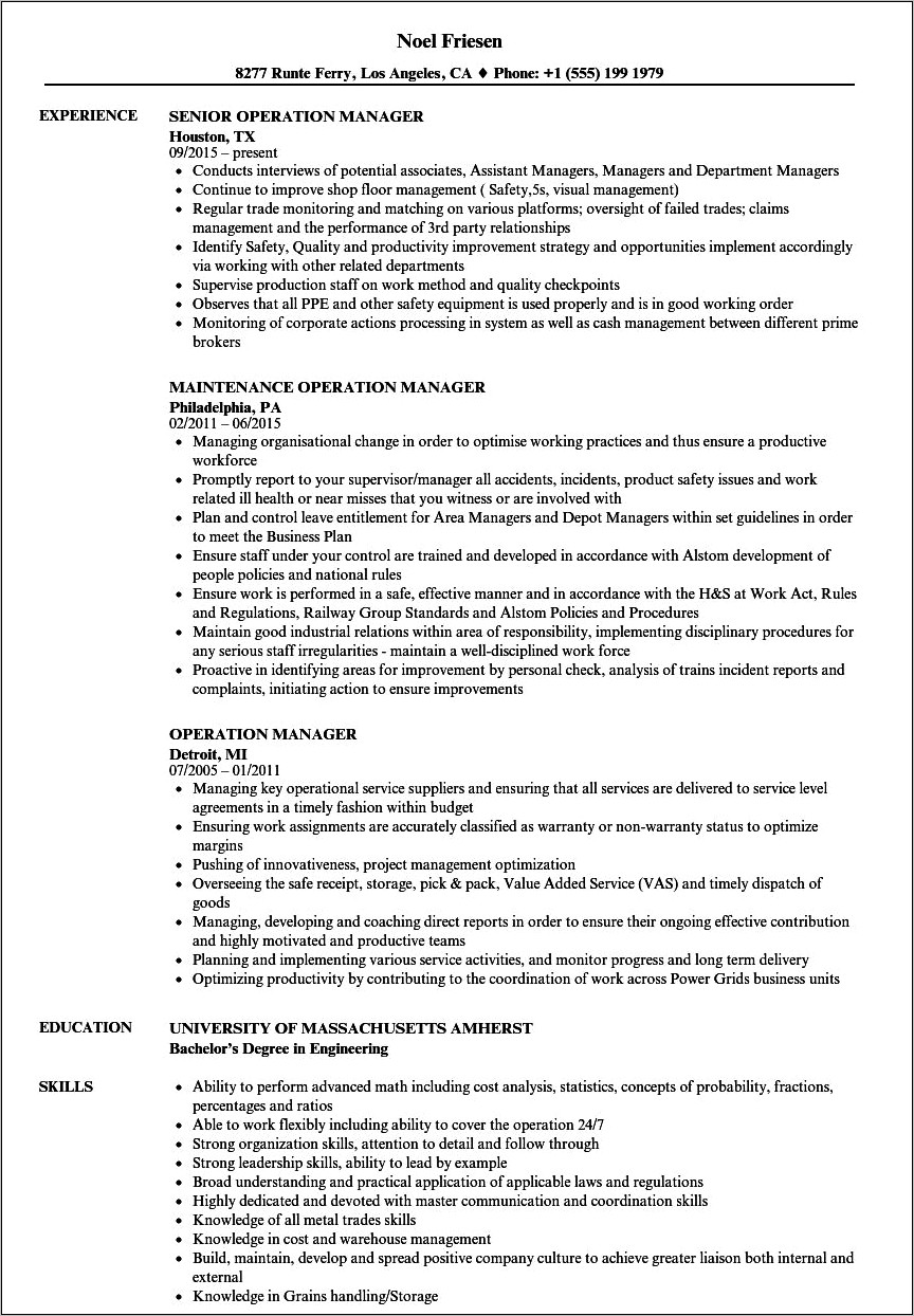 Resume For It Operations Manager