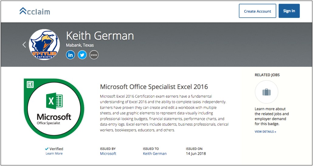Resume For Microsoft Excel Skills