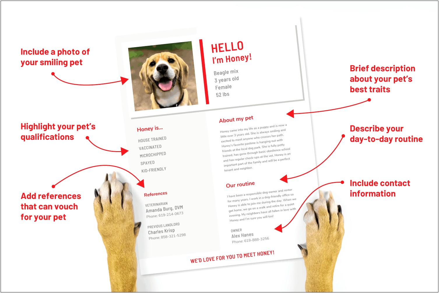 Resume For Pet Sitting Dog Walking Manager