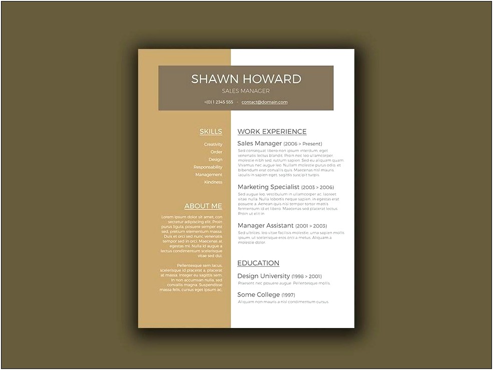 Resume For Sales Manager Template