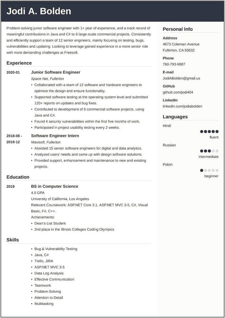 Resume For Software Developer Sample