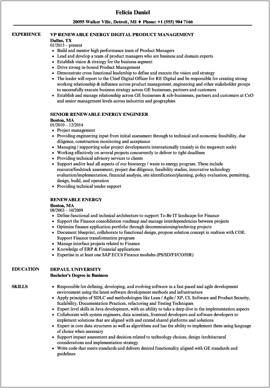 Resume For Solar Project Manager