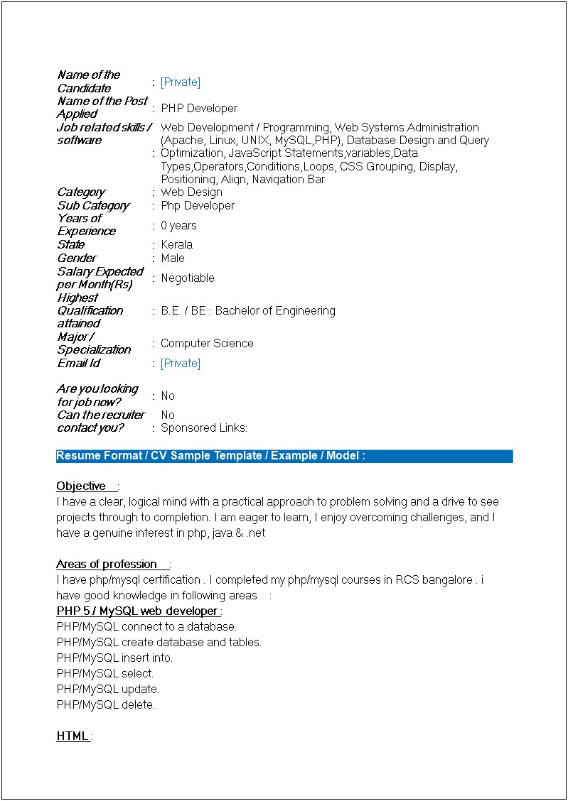 Resume Format For Experience Web Developer