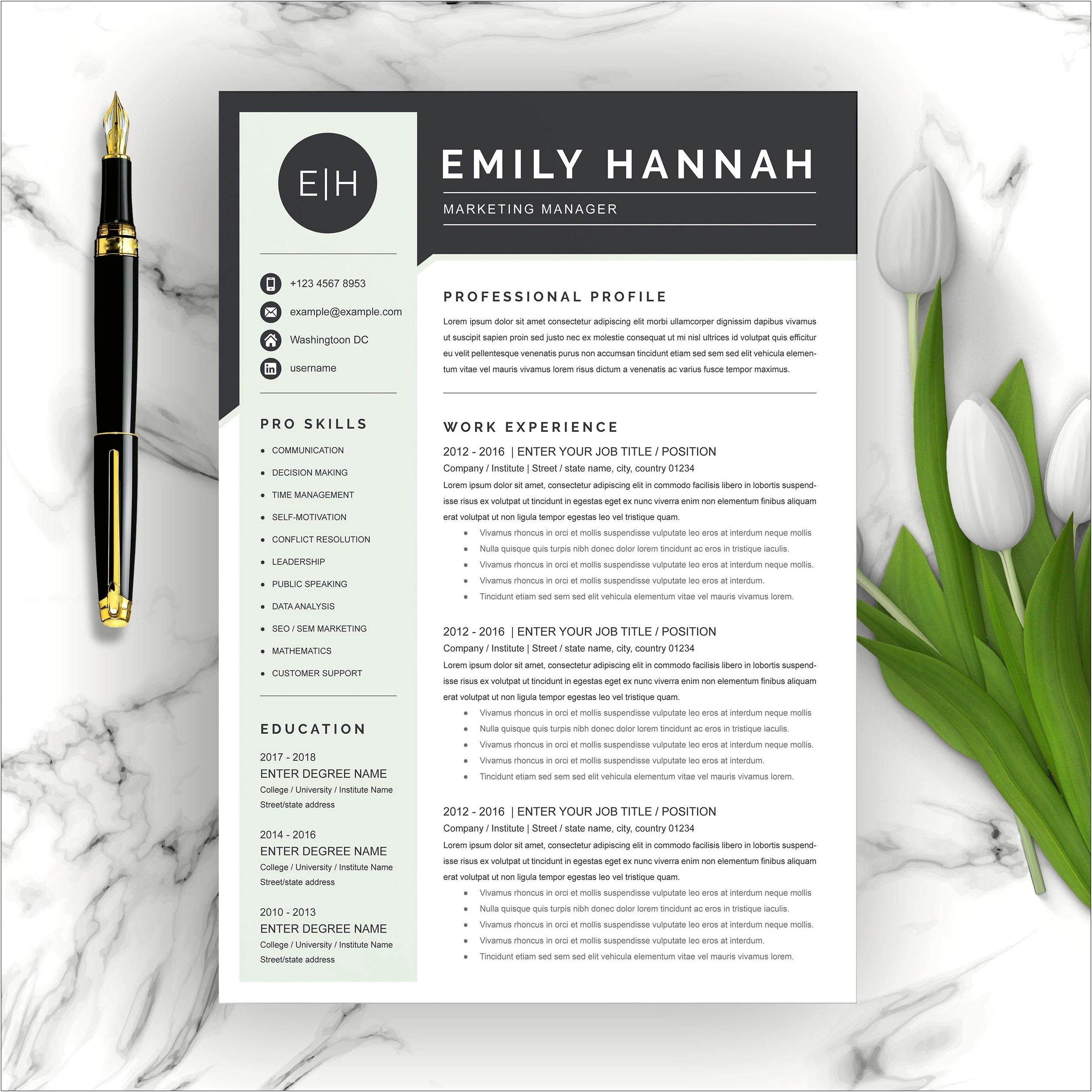 Resume Format For Marketing Manager