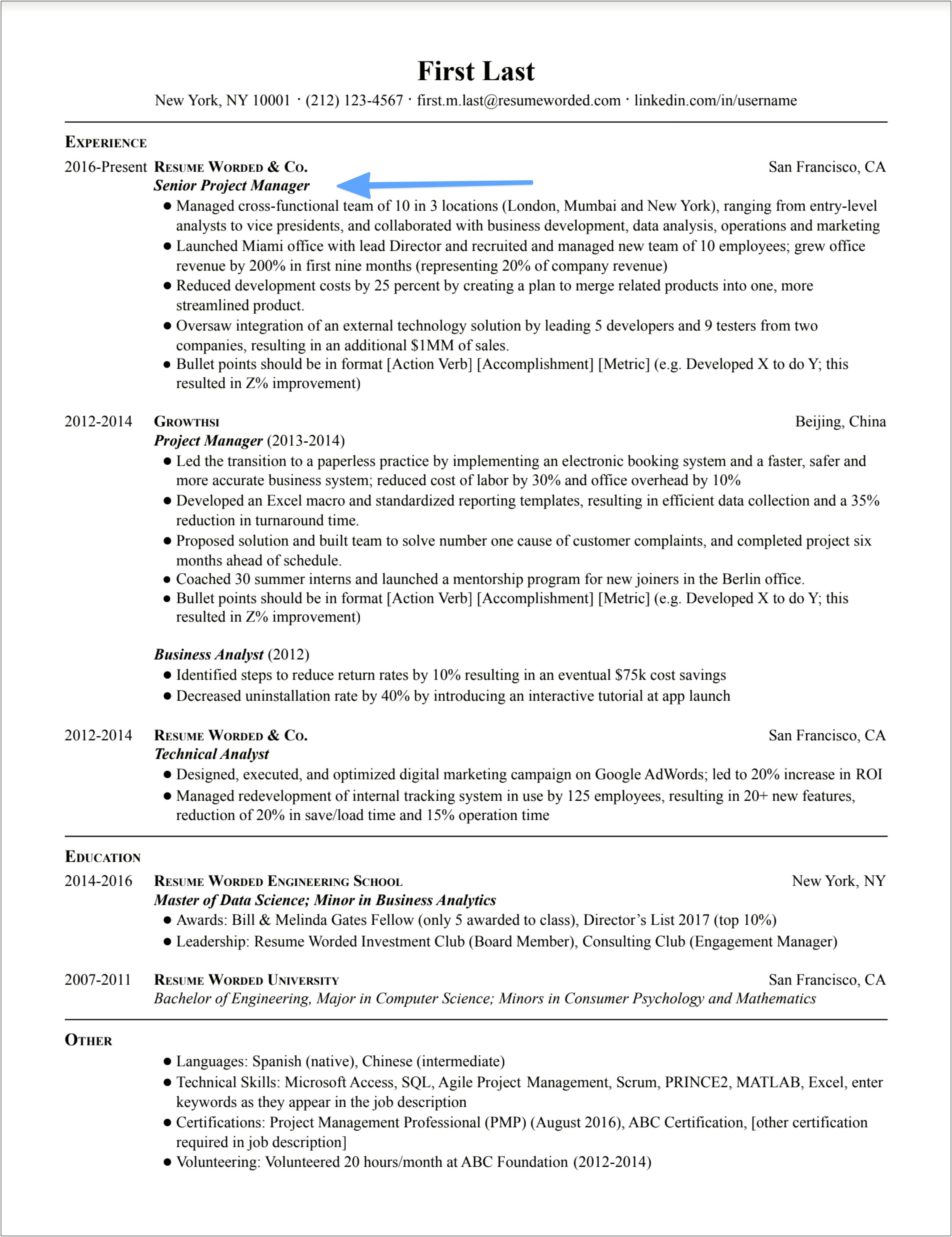 Resume Format For Pmo Job