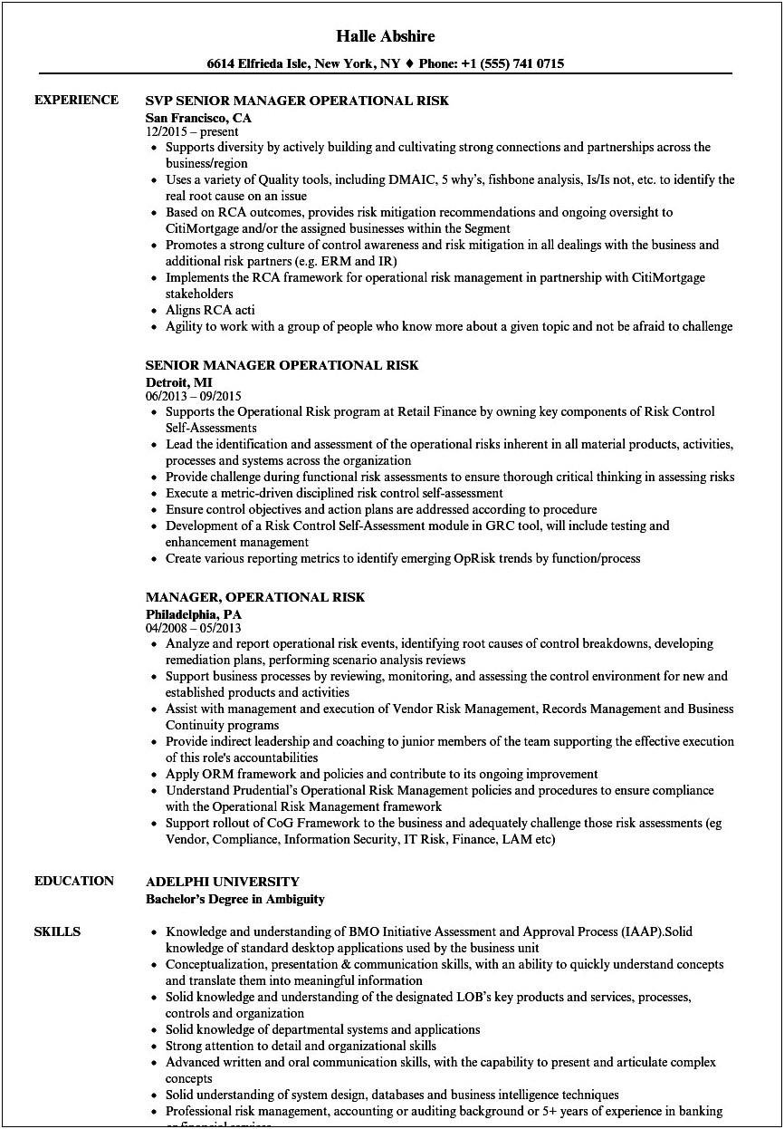 Resume Format For Vice President Operational Risk Management