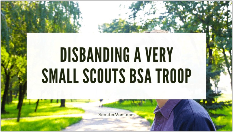 Resume Job Description Scout Troop Adult