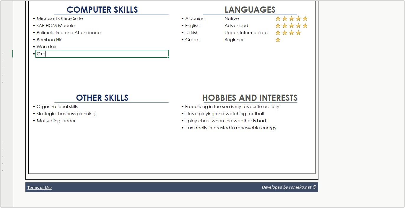 Resume Maker Excel Sheet Free Download