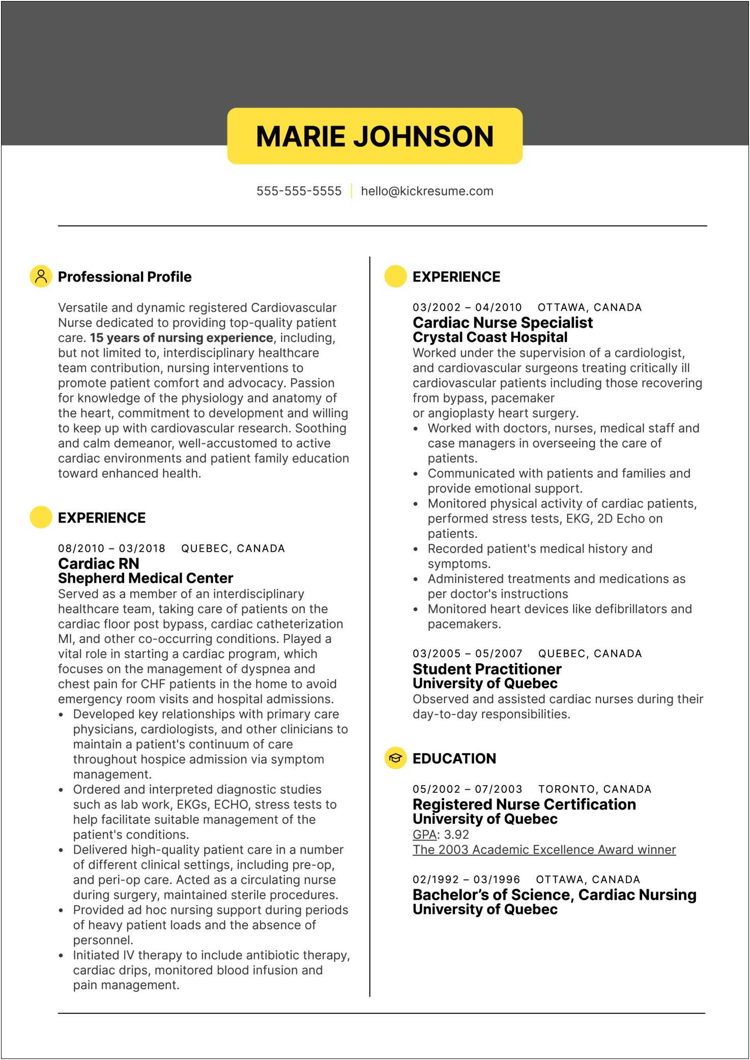Resume Nurse Career Profile Examples