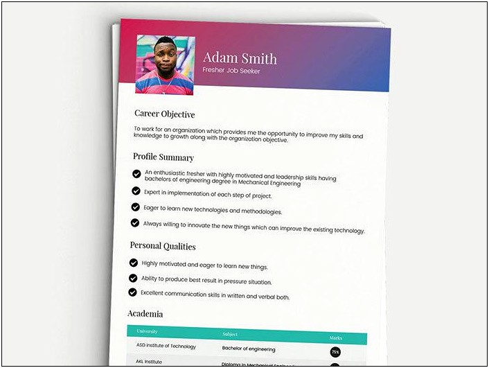 Resume Objective Examples For Illustrator