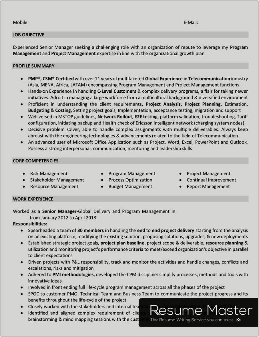 Resume Objective Examples For Telecommunications Manager