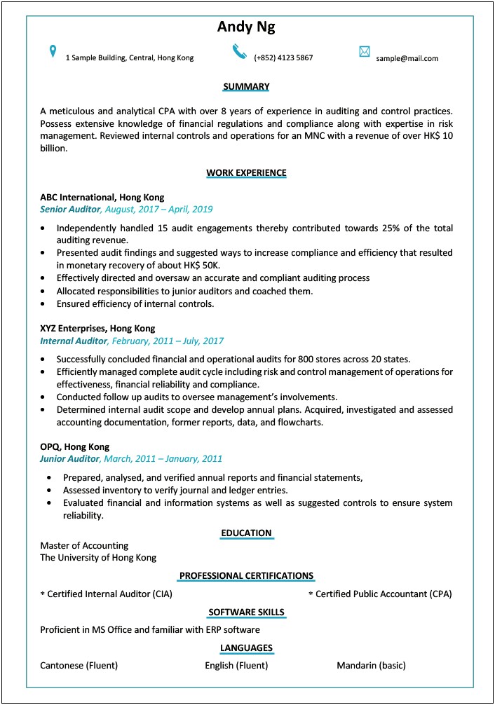 Resume Objective For Audit Intern