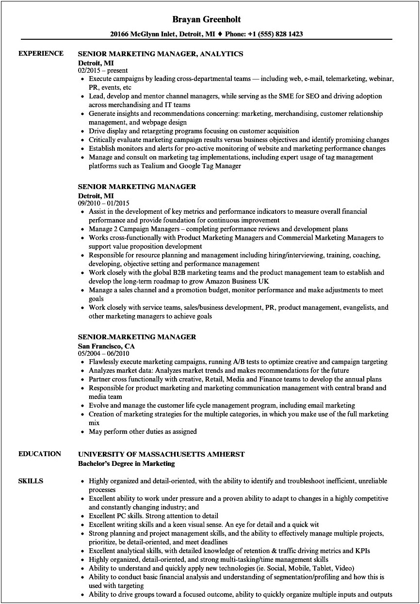 Resume Objective For Brand Managers
