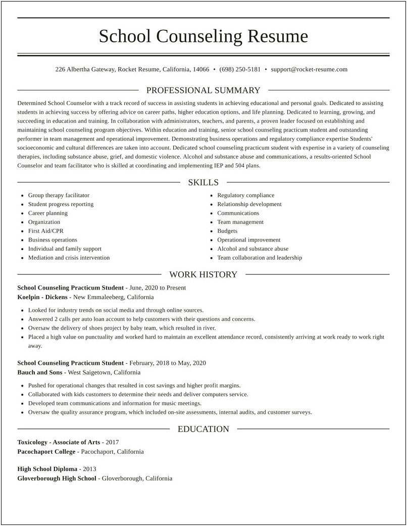 Resume Objective For Counseling Practicum