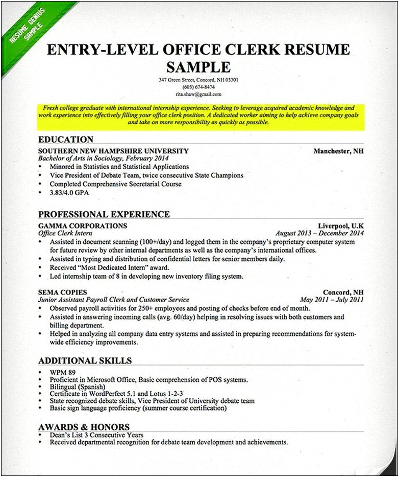 Resume Objective For County Clerk