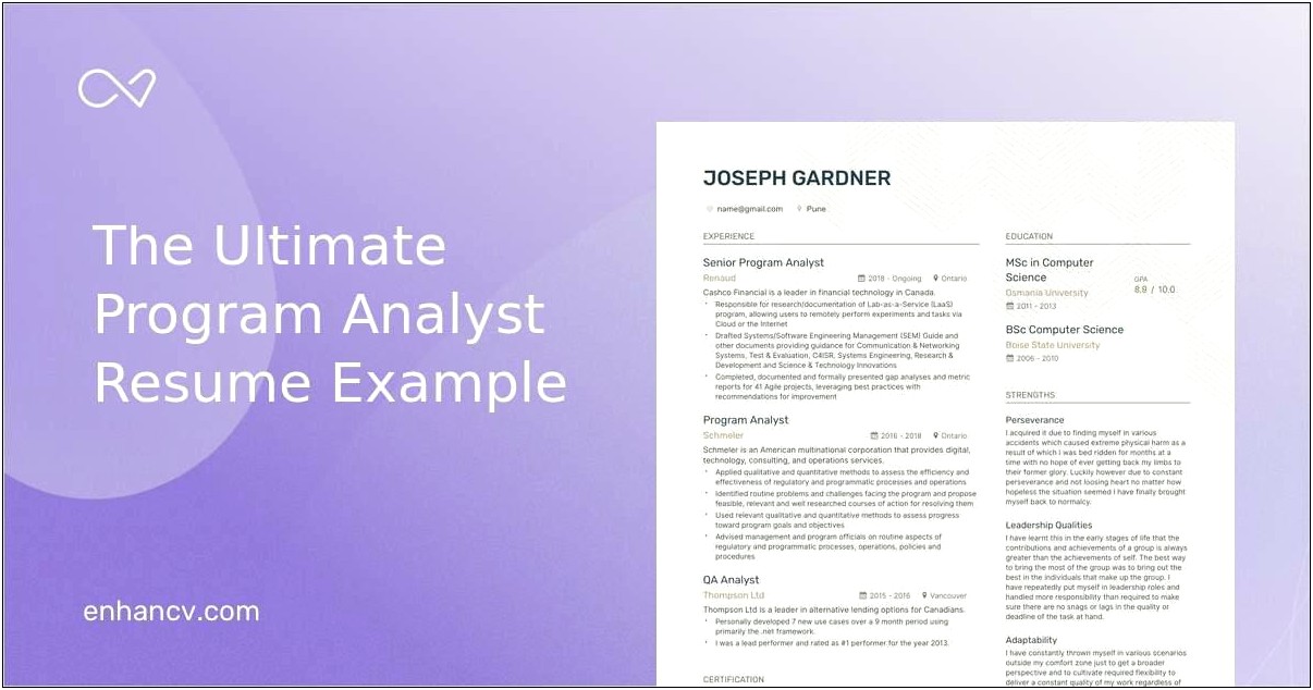 Resume Objective For Program Analyst