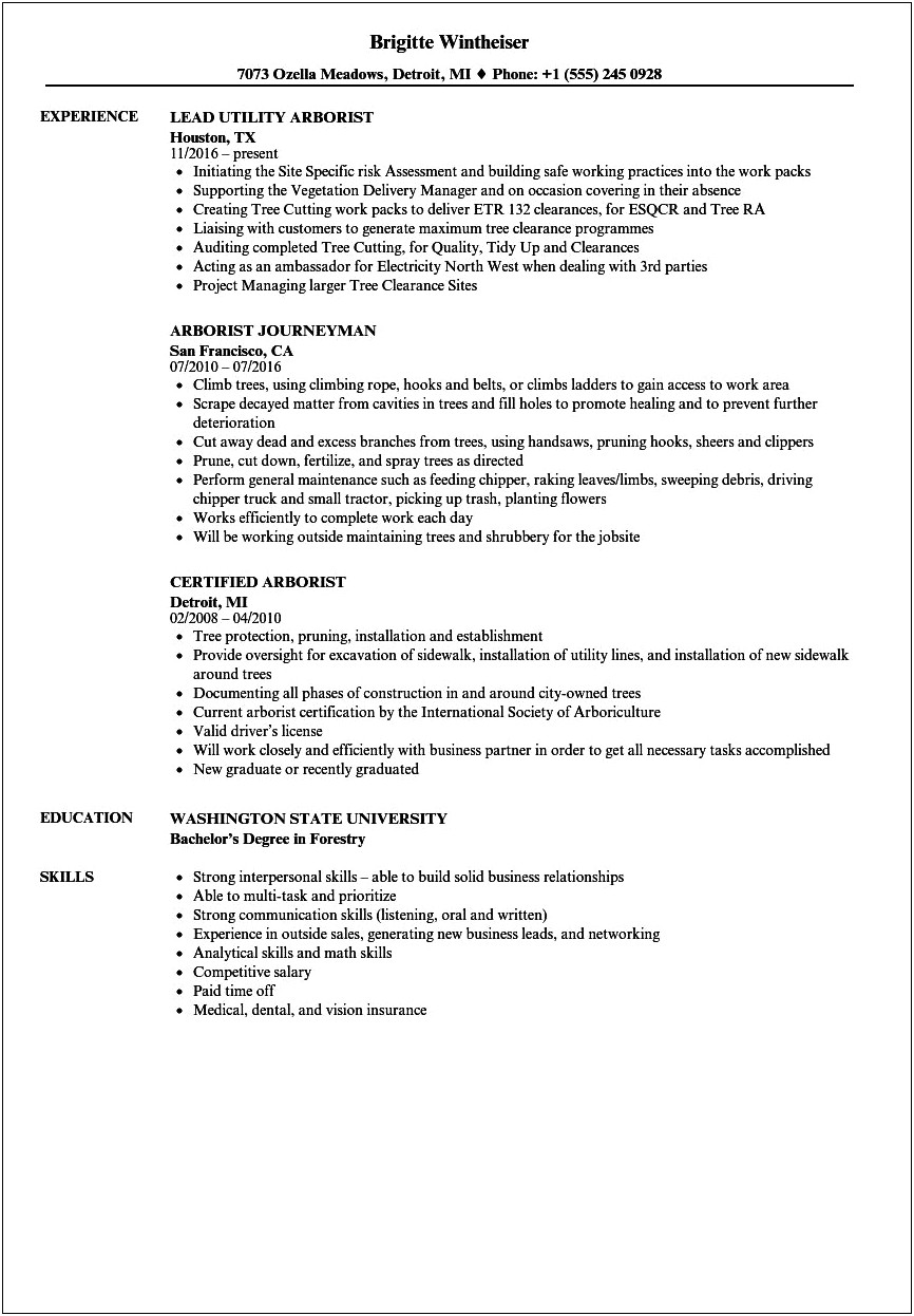 Resume Objective For Utility Forester