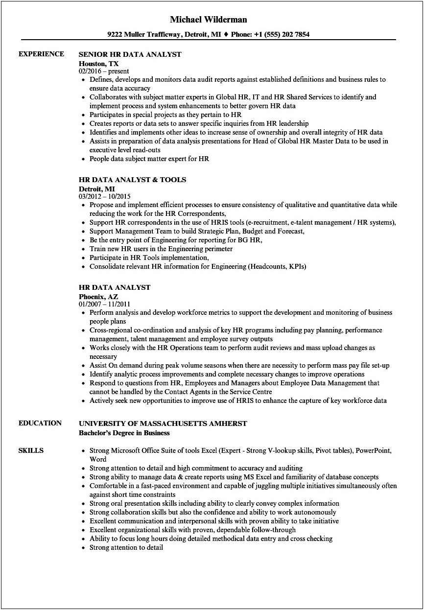 Resume Objective Statement Example Data Analyst