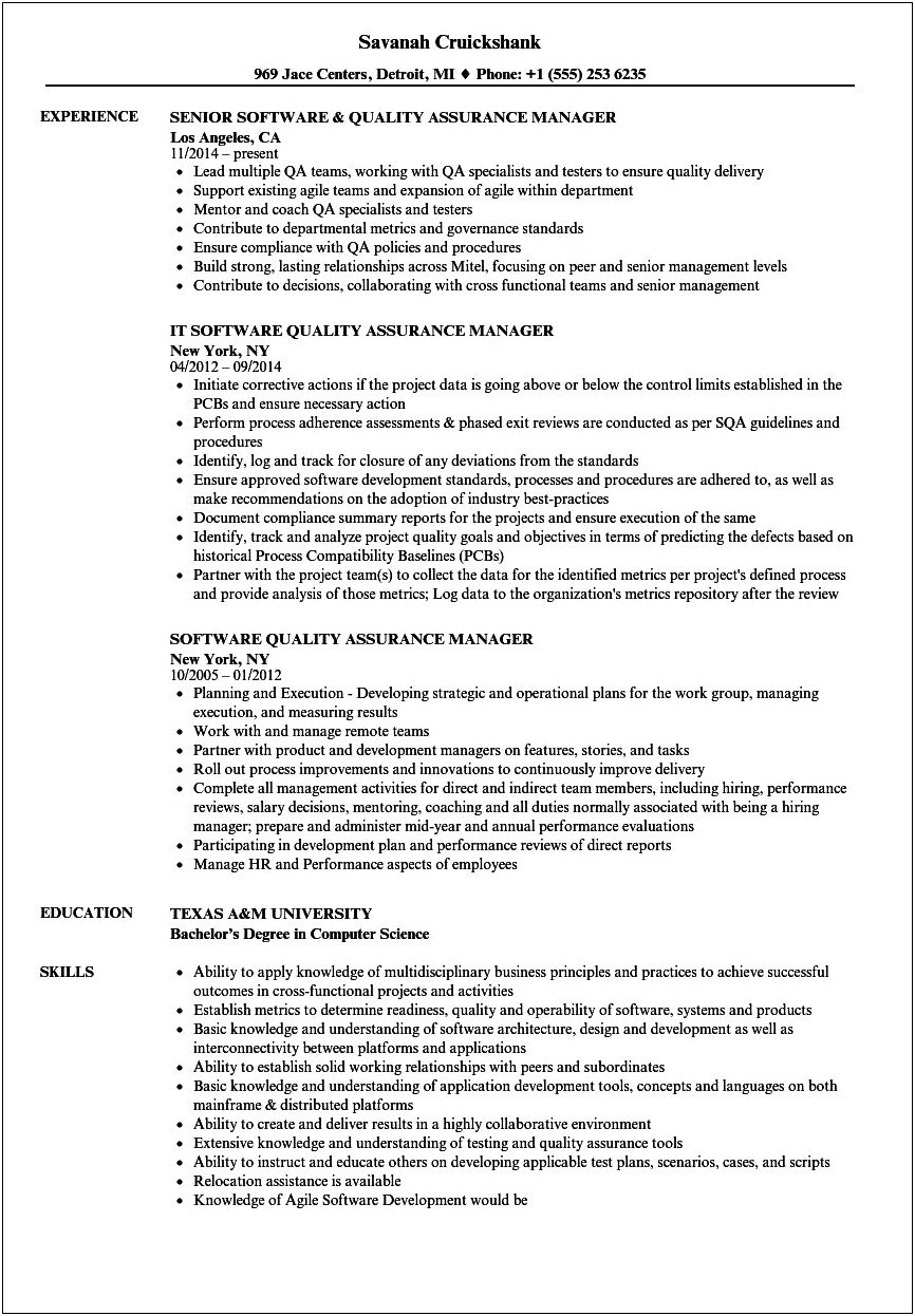 Resume Objective Statements Software Qa