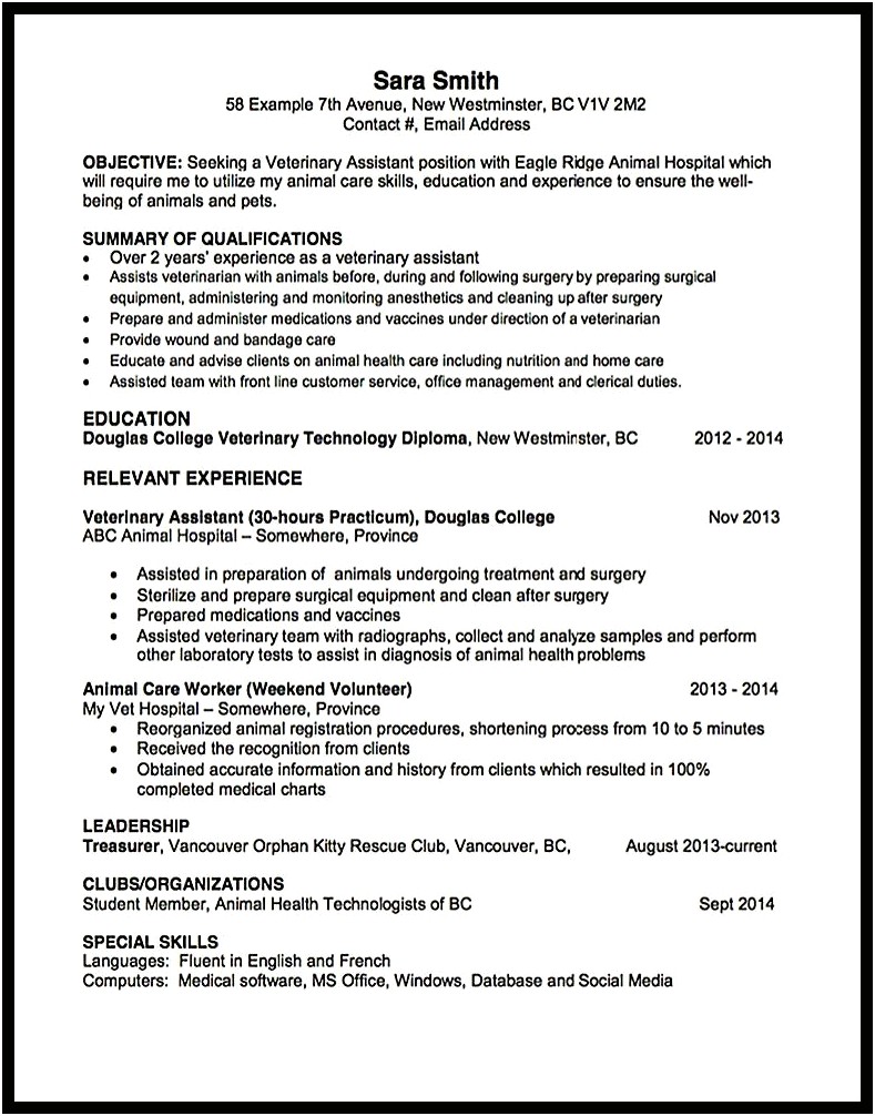 Resume Objectives Examples Animal Care