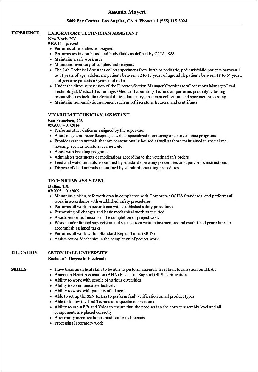 Resume Objectives Of Mechanic Assistant