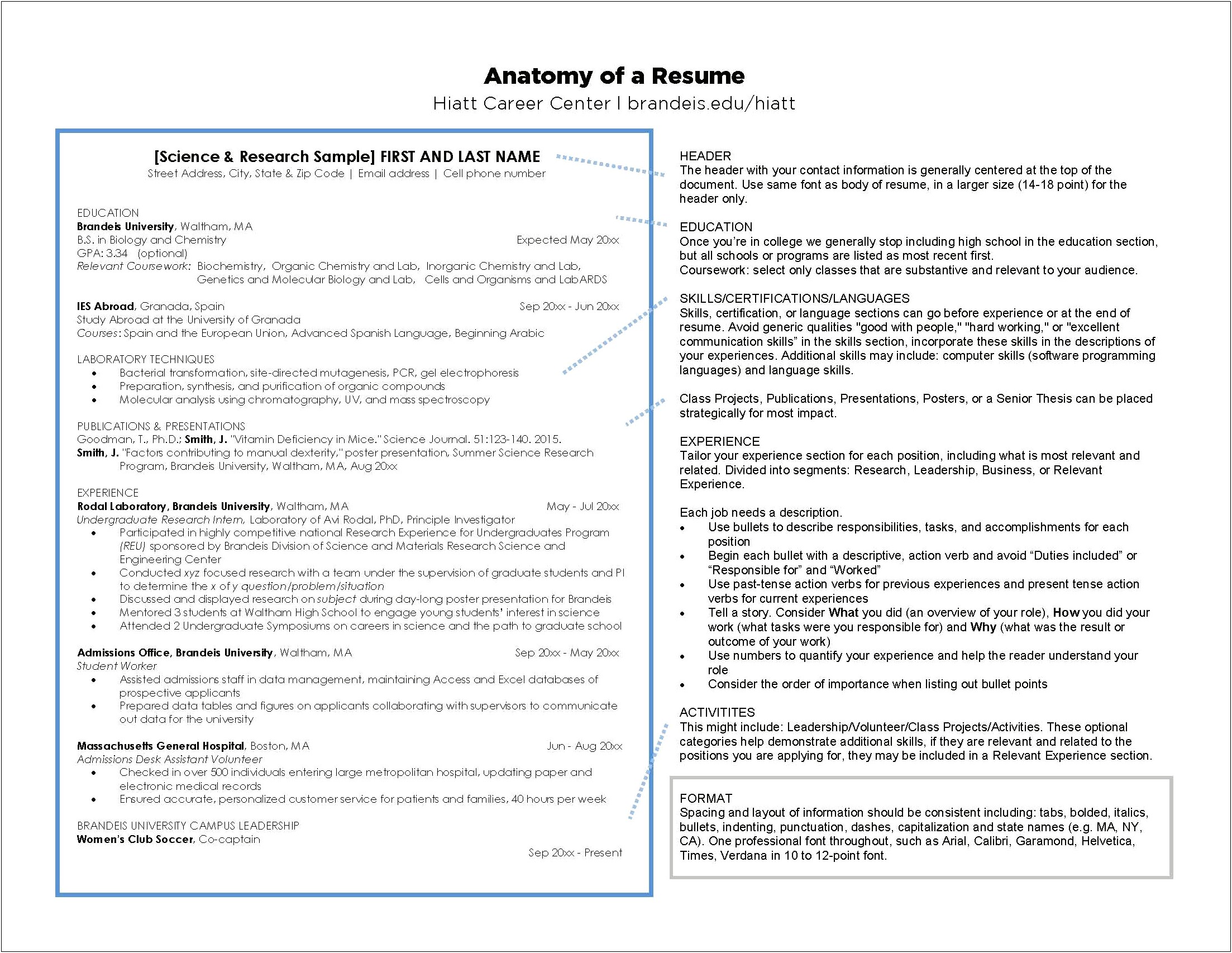 Resume Of Applicant's Activities And Experience Layout
